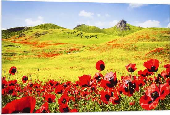 Acrylglas - Groep Rode Bloemen in Heuvellandschap - 105x70 cm Foto op Acrylglas (Wanddecoratie op Acrylaat)