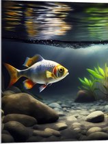 Acrylglas - Zilver met Oranjekleurige Vis Zwemmend in Aquarium - 60x80 cm Foto op Acrylglas (Met Ophangsysteem)