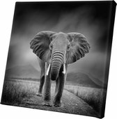 Schilderij - Canvasdoek Olifant Zwart-wit Dieren - Zwart En Wit - 60 X 60 Cm Canvasdoek Olifant | Zwart-wit | Wanddecoratie | 60x60cm | Dieren