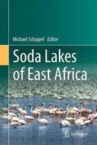 Soda Lakes of East Africa