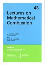 Lectures on Mathematical Combustion