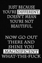 Just Because You're Different, Doesn't Mean You're Not Beautiful. Now Go Out There and Shine You Magnificent What-the-Fuck