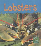 Read and Learn: Sea Life - Lobsters
