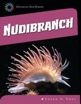 Nudibranch