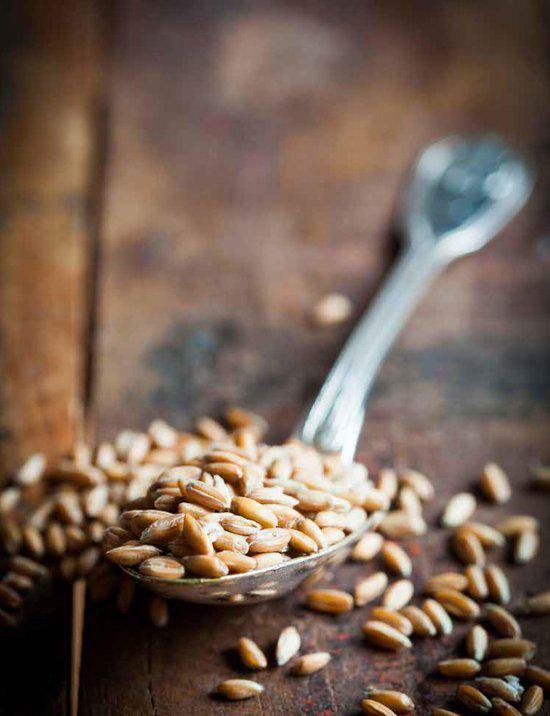 Digitale fotografie: food