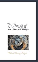 The Prospects of the Small College