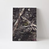 Canvasdoek - Schilderij - Takken Letter A Natuur Stichting By Amanda - Bruin - 90 X 60 Cm