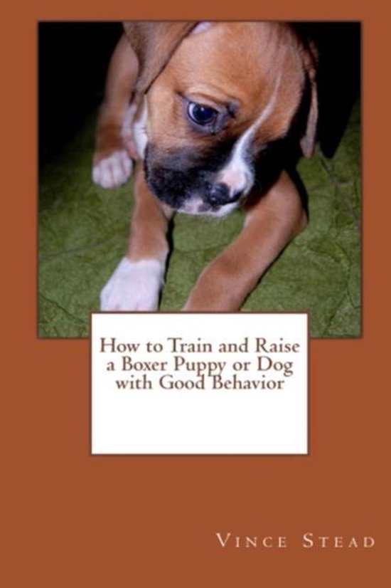 How to Train and Raise a Boxer Puppy or Dog with Good Behavior, Vince
