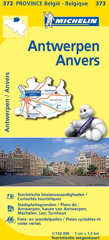 Abnormaal betreuren Eigenwijs Michelin 373 Province Belgie - Antwerpen Anvers | bol.com