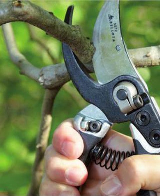 Bellota snoeischaar ergonomisch 30 mm — afbeelding 5