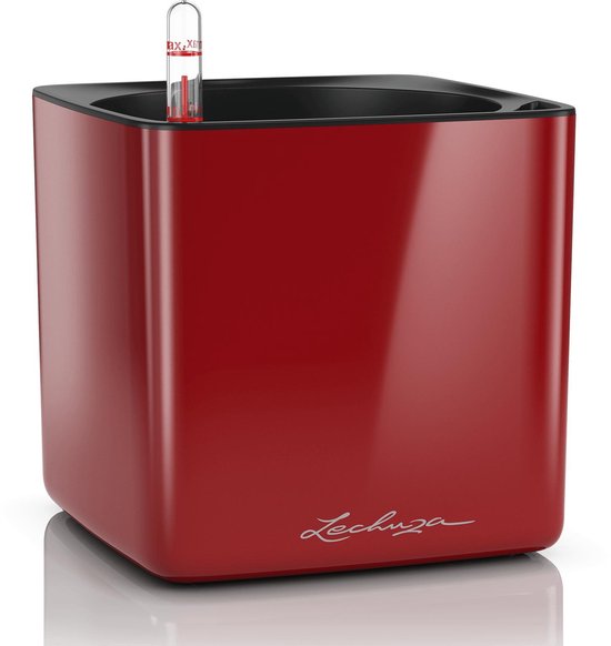 Lechuza - CUBE GLOSSY 16 Rouge écarlate haute brillance TOUT-EN-UN