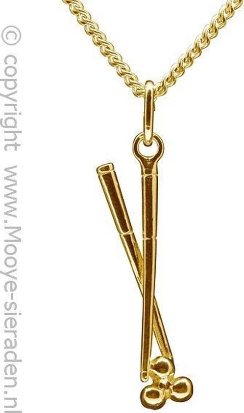 Vertrek naar wasserette omhelzing Gouden Biljartstokken met bal ketting hanger | bol.com
