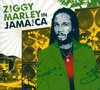 Ziggy Marley In Jamaica