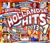Various Artists - Hollandse Hits 2013 Deel 1