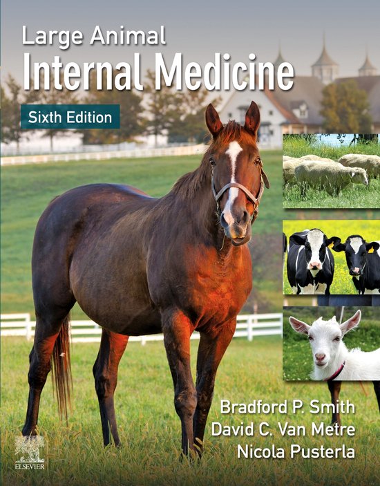 Large Animal Internal Medicine - E-Book - cover