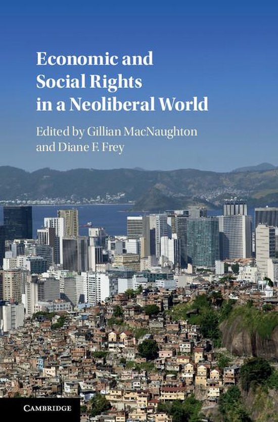 Economic and Social Rights in a Neoliberal World - cover