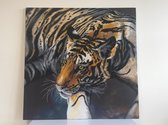Diamond Painting Crystal Art Kit ® The Tiger 70x70 cm, Partial Painting