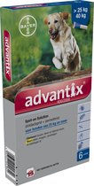 Bayer Advantix Vlooien & Teken Pipetten - Hond 40 tot 60kg - 6 stuks