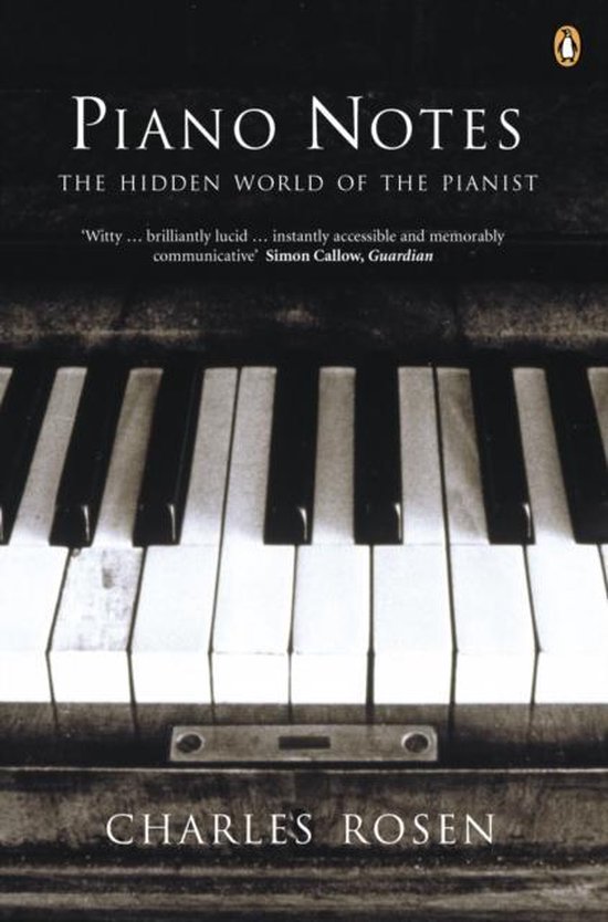 Piano Notes Hidden World Of Pianist
