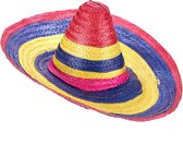 Vegaoo - Multikleuren sombrero