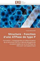 Structure - Fonction D'Une Atpase de Type P