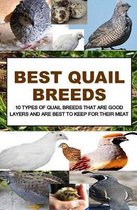 Best Quail Breeds
