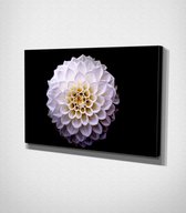 White Flower Canvas - 60 x 40 cm - Bloemen - Schilderij - Canvas - Slaapkamer - Wanddecoratie  - Slaapkamer - Foto op canvas