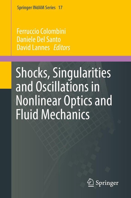Springer INdAM Series 17 Shocks, Singularities and Oscillations in