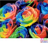 Schilderen op nummer "JobaStores®" Gekleurde Rozen 40x50cm