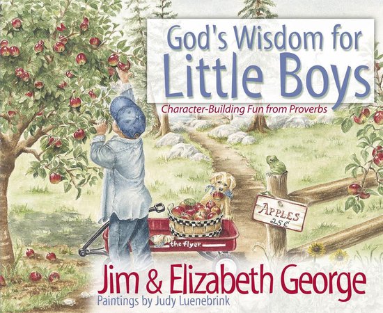 God's Wisdom for Little Boys - cover