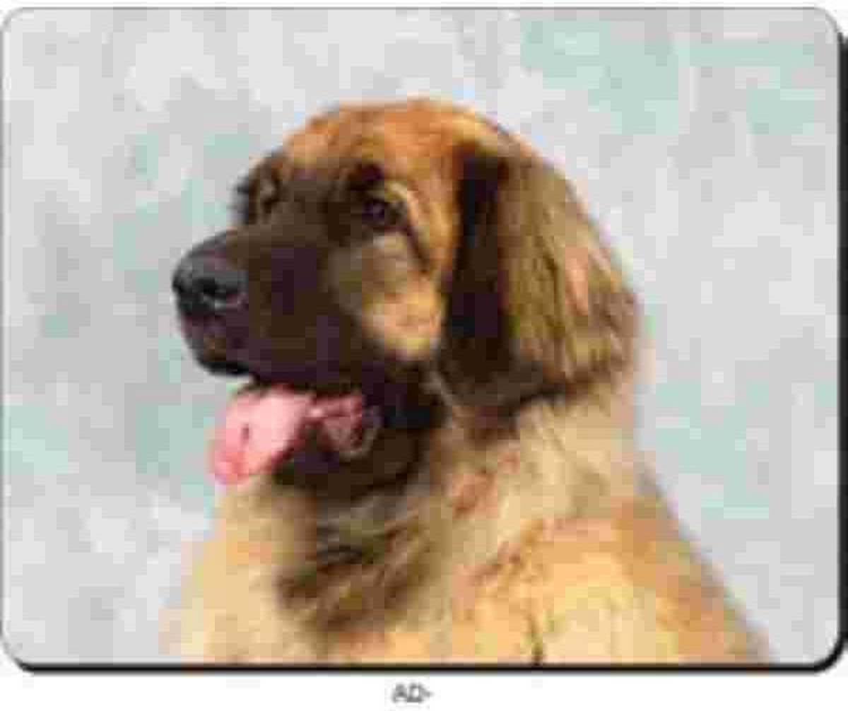 Pyreneese Berghond Muismat