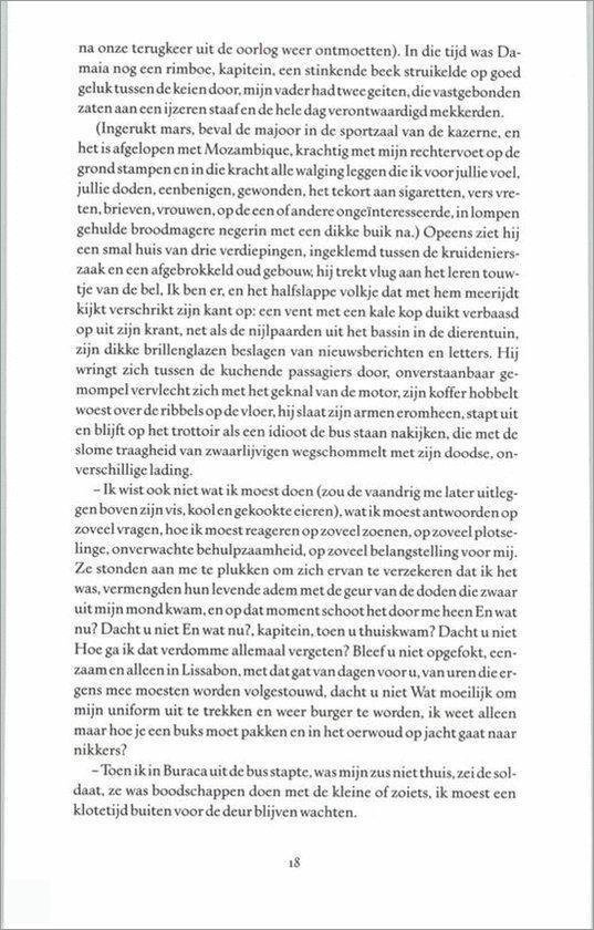 Een bladzijde uit een boek met Nederlandse tekst over een terugkeer, herinneringen en personen.