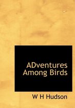 Adventures Among Birds