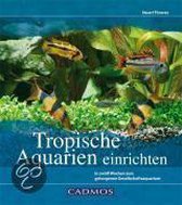 Tropische Aquarien einrichten