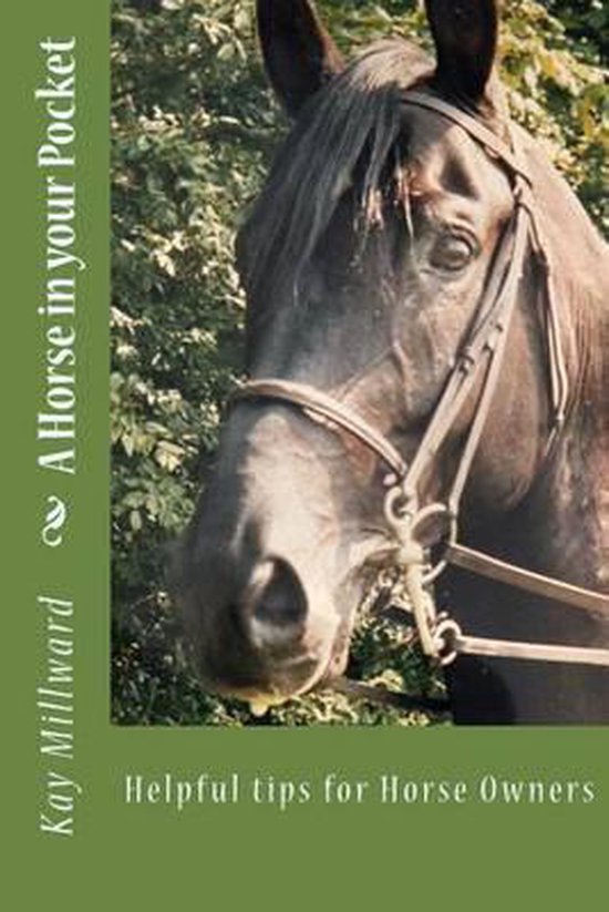 A Horse in your Pocket - cover