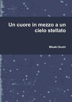 Un cuore in mezzo a un cielo stellato