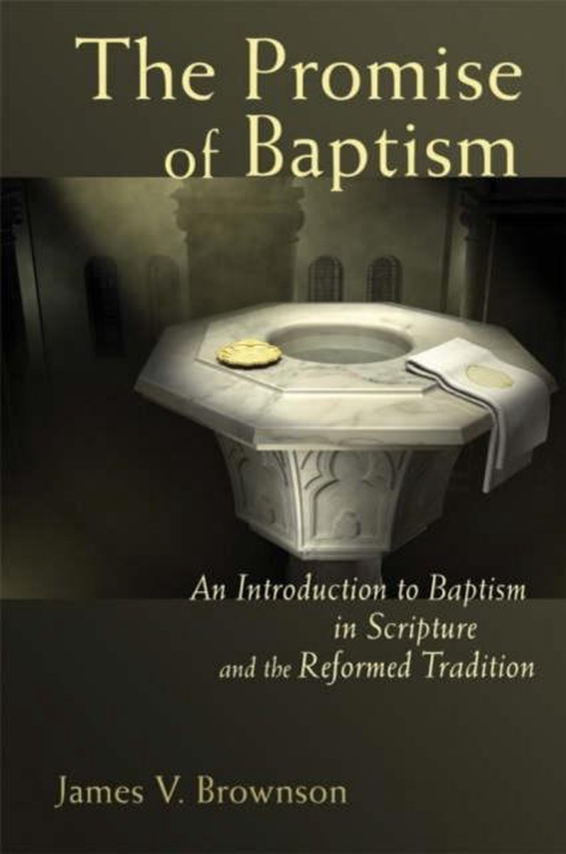 The Promise of Baptism - James V. Brownson