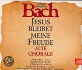 Bach: Jesus Bleibet Meine Freude, Alte Chorale