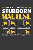 Maltese Journal