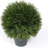 Kunstplant Cypress bol in pot 36 cm