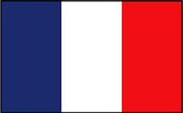 Franse vlag 40X60cm