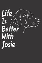 Life Is Better With Josie