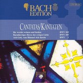 Bach Edition: Cantatas, BWV 103, 185, 2