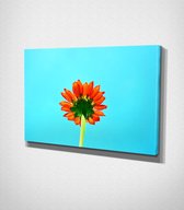 Multicolored Flower Canvas - 120 x 80 cm - Bloemen - Schilderij - Canvas - Slaapkamer - Wanddecoratie  - Slaapkamer - Foto op canvas