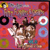 Fuzz, Flaykes & Shakes 2