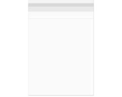 Plastic Zakken 17,5x24,1cm Transparant en Hersluitbaar (100 stuks) | Plastic zak