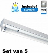 LED Buis armatuur 150cm - Enkel | Inclusief Hoge Lumen LED Buis - 6000K - Daglicht (Set van 5 stuks)