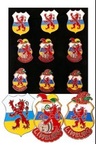 9 Stuks Broche Wapens Limburg 3 assortie