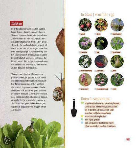 Tuinieren voor (wilde) dieren
