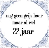 Verjaardag Tegeltje met Spreuk (22 jaar: Nog geen grijs haar, maar al wel 22 jaar + cadeau verpakking & plakhanger